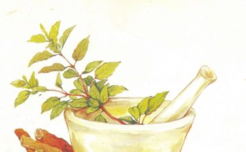 செலவில்லா சித்த மருத்துவம்