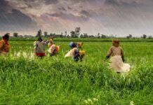 கி.ரா. அறிமுகம்